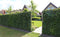 Kant & klaar haag Hedera Helix Woerner 200 cm
