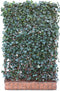 Kant & klaar haag met hardhout bak groot Hedera helix Woerner 180 cm