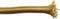 Kash 70I100 Aansluitkabel 3 x 0.75 mm² Goud 5 m