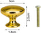 Kastknoppen | Meubelknoppen GOUD inclusief bevestigingsbout | 3cm | Gouden Meubelhandvat | Landelijke greep | Kastknop | Meubelknop | Hand Grepen | Knop Robuust | Deurgreep Staal | Metaal | Strak Meubelbeslag | schuifdeur | Handvat | Greep |