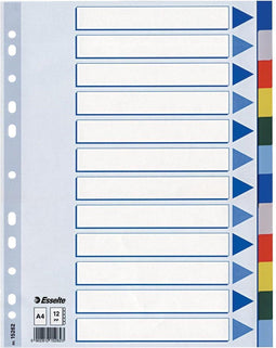 Esselte tabbladen 12 tabs