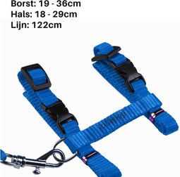 Katten / kittentuigje met Loopband – Blauw - Homes Creative