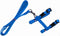 Katten / kittentuigje met Loopband – Blauw - Homes Creative