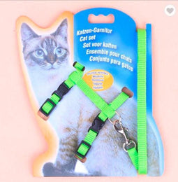 Katten / Kittentuigje met Loopband – Groen - Homes Creative