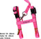 Katten / Kittentuigje met Loopband – Roze - Homes Creative