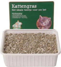 Kattengras