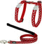 Kattentuigje Red Dingo Style Rood Ster Wit Riem