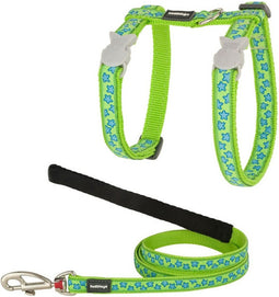 Kattentuigje Red Dingo Style Turkoois Ster Riem