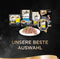 Kattenvoer Sheba Megapack Kip Zalm Tonijn Eend 32 x 85 g
