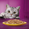 Kattenvoer Whiskas Kip Pauw Eend Vogels 12 x 85 g