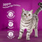 Kattenvoer Whiskas Kip Pauw Eend Vogels 12 x 85 g