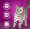 Kattenvoer Whiskas Kip Zalm Kalfsvlees 400 g