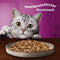Kattenvoer Whiskas Pure Delight Kip Pauw Eend Vogels 12 x 85 g