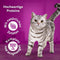 Kattenvoer Whiskas Pure Delight Kip Pauw Eend Vogels 12 x 85 g