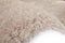 Kayoom Cosy 80 x 150 cm Vloerkleed Ivory