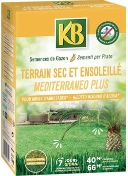 KB - Graszaden - Droog en zonnig land 40m²