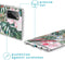 iMoshion Hoesje Geschikt voor Samsung Galaxy S20 Hoesje Siliconen - iMoshion Design hoesje - Groen / Roze / Tropical Jungle