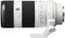 Sony FE 70-200 mm F4 G OSS - Zoomlens - Optische stabilisatie - 35mm (fullframe)