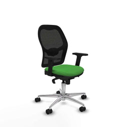 Piqueras y Crespo 2D086N0 - Gaming stoel - Hoogteverstelbaar - Groen