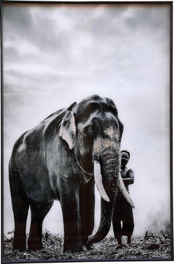 PTMD Melani Glass Art wand foto schilderij olifant