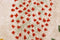 Lorena Canals - Wasbaar Vloerkleed - Botanic - 170 x 240 cm