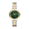 Armani Exchange AX5176 - Polshorloge - 36 mm - Tweekleurig met groene wijzerplaat