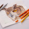 Bruynzeel Creatives - Fineliner / Brushpen set - 72 kleuren (set van 72)