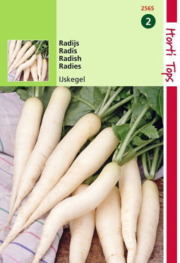 2 stuks - Hortitops - Radijs IJskegel, Lange Witte