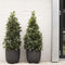 Capi Europe - Bloempot bol Row NL - 43x41 - Zwart - Opening Ø35 - Bloempot voor binnen en buiten - Levenslang garantie - Breukbestendig - 100% Recyclebaar - CO2 Neutraal geproduceerd - KBLRO933