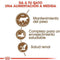 Royal Canin Ageing Sterilised 12+ - Kattenvoer - 4 kg