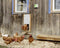 Kerbl Kipschuifdeur 30 x 40 cm, aluminium, complete montageset
