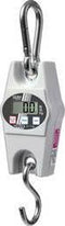 Kern Hangweegschaal Weegbereik (max.) 100 kg Resolutie 200 g
