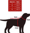 Kerst Bandana BANDANA MET EEN MIX PATROON M