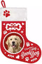 Kerst Sok Golden Retriever - Dierenskleding - Rood/Wit