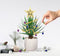 Kerstballen - Voor je planten - Set van 10 ballen - Inclusief 1 slinger en 1 ster - Kerstversiering - Decoratie