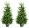 Kerstboom-Fraseri - 2 NEXT DOOR - met Emmer en verlichting - 150-170 cm
