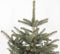 Kerstboom Picea pungens Super Blue ↨ 75cm - hoge kwaliteit planten