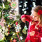 Kerstdecoratie Set - DIY - Compleet met Ornamenten - Magisch en Leuk