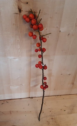 Kerstgroen 1 tak met appeltjes