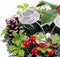 Kerstkaarshouder Rood Multicolour Metaal Plastic 15 cm