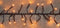 Kerstlampjes warm wit 15 meter (1152 LED-lampjes) en automatische timer