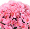 Kerstslingers met bloemen 3 st 85 cm roze