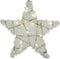 Kerstster met 20 leds warm-wit sneeuw glittergoud