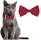 Kerststrikje Kat - Dierenkleding - Rood/Wit