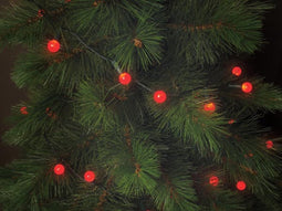 Kerstverlichting Cherry Light LED - 12 m - 120 rode lampjes - groene draad - 24 V