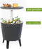 Keter bijzettafel drinkkoeler coolbar cocktailtafel 50x57-85cm 30L wit-antraciet