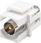 Keystone module F (v) - Coax IEC (m) verzonken aansluiting / wit