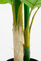 Mica Decorations Strelitzia Kunstplant - H150 x Ø40 cm - Groen