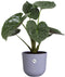 Elho Jazz Rond 26 Bloempot - 100% Gerecycled Plastic - Ø 26 x H 24.2 cm - Lavendel lila
