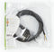 Nedis Stroomkabel - Type F (CEE 7/7) Male - Open - Gehoekt - Recht - Vernikkeld - 2.00 m - Rond - PVC - Zwart - Envelop